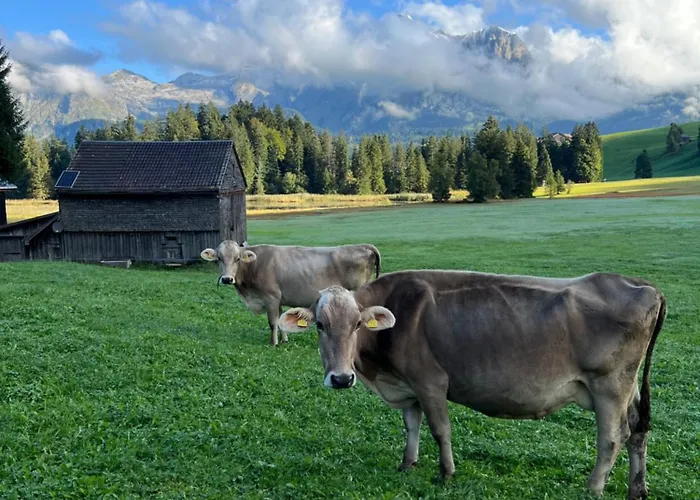 Beautiful Holiday Apartment In Wildhaus Toggenburg