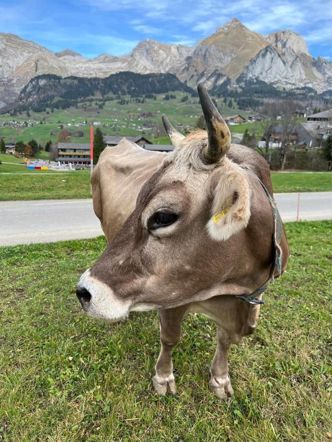 Beautiful In Toggenburg * Wildhaus