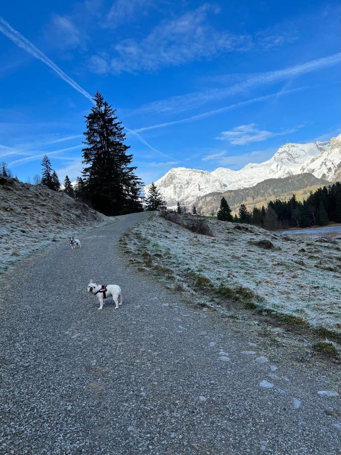 Beautiful In Toggenburg *