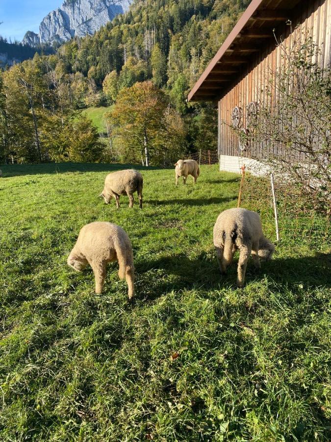 Beautiful In Toggenburg Apartmán Wildhaus