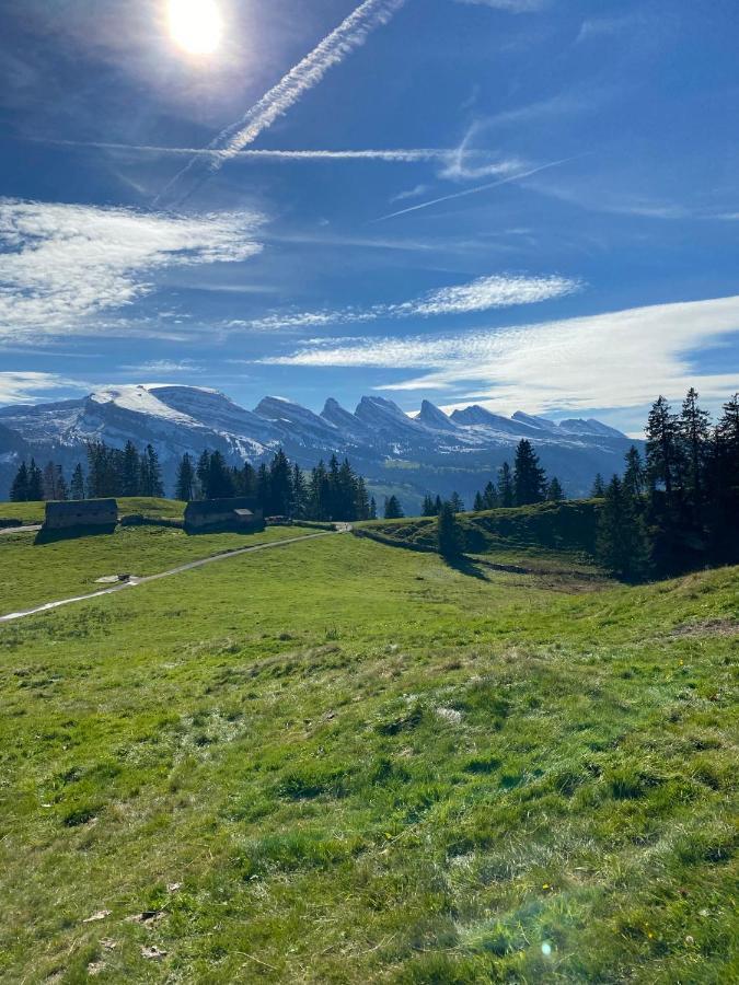Beautiful In Toggenburg Wildhaus